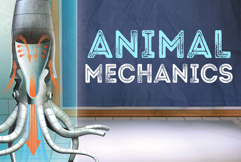 Animal Mechanics