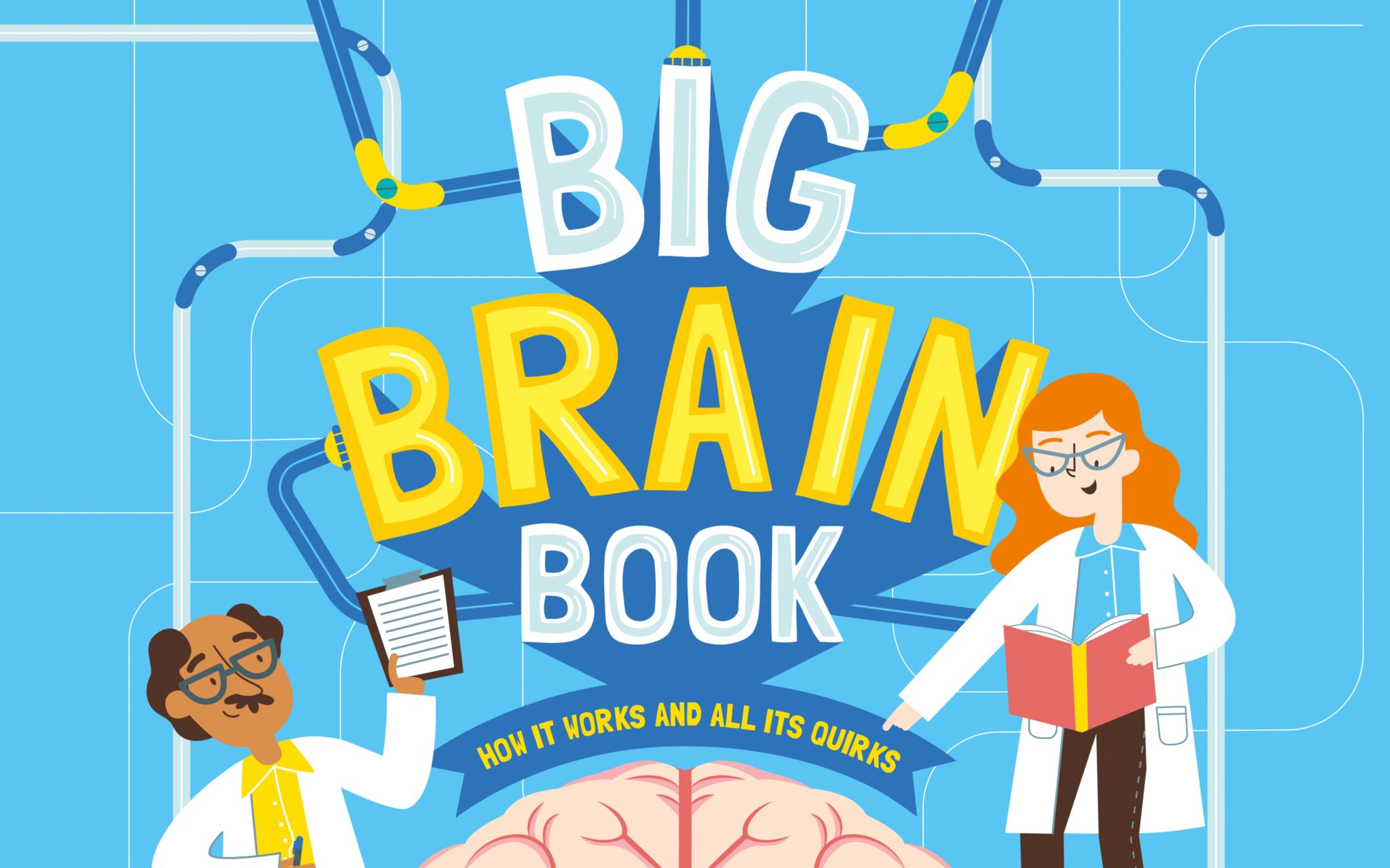 Big Brain Book: How It Works and All Its Quirks