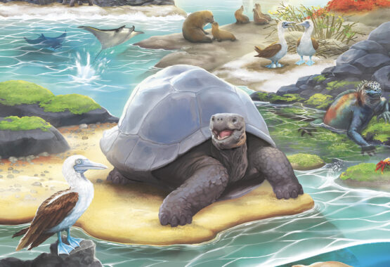 Any format, any style, tailored to fit.